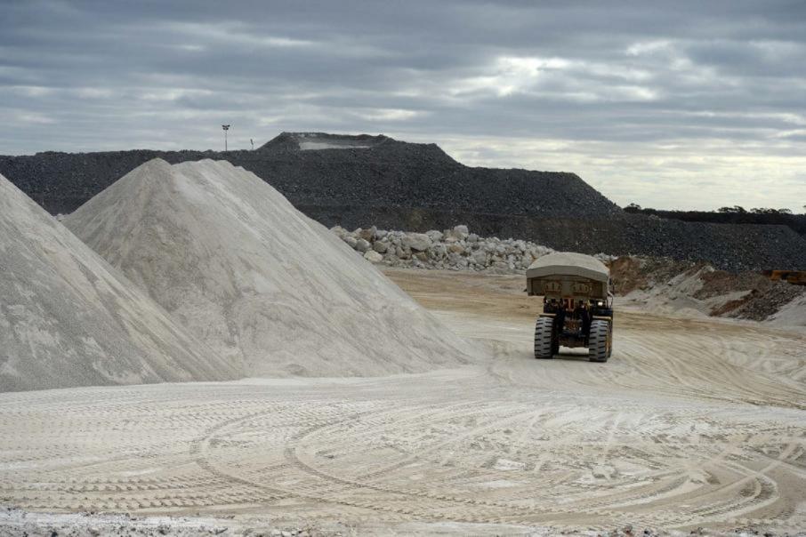 Chinese group bids for lithium miner