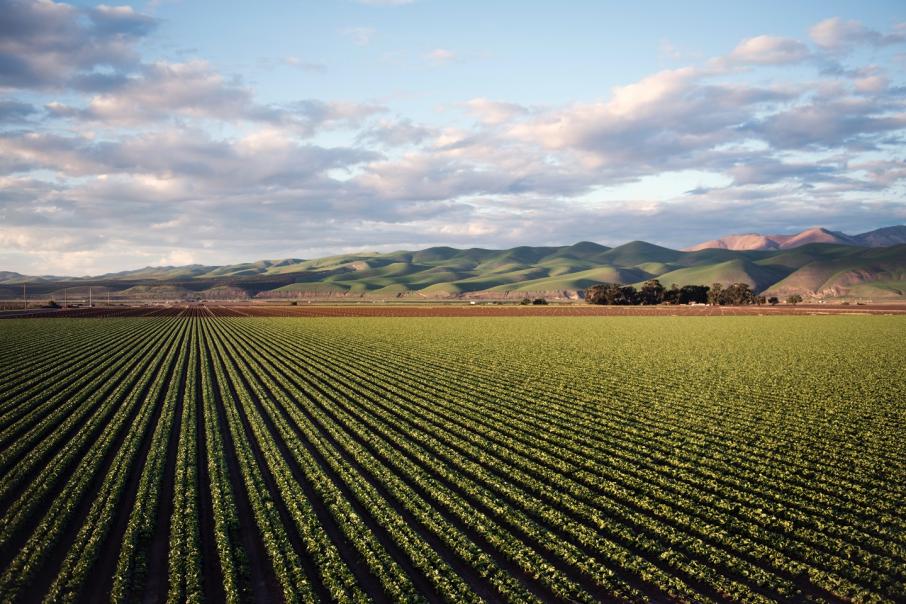 Australian Potash pens second take-or-pay fertilizer off-take 