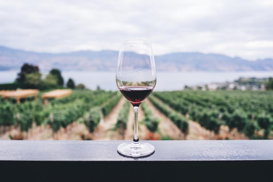 Digital Wine Ventures seeks $6m