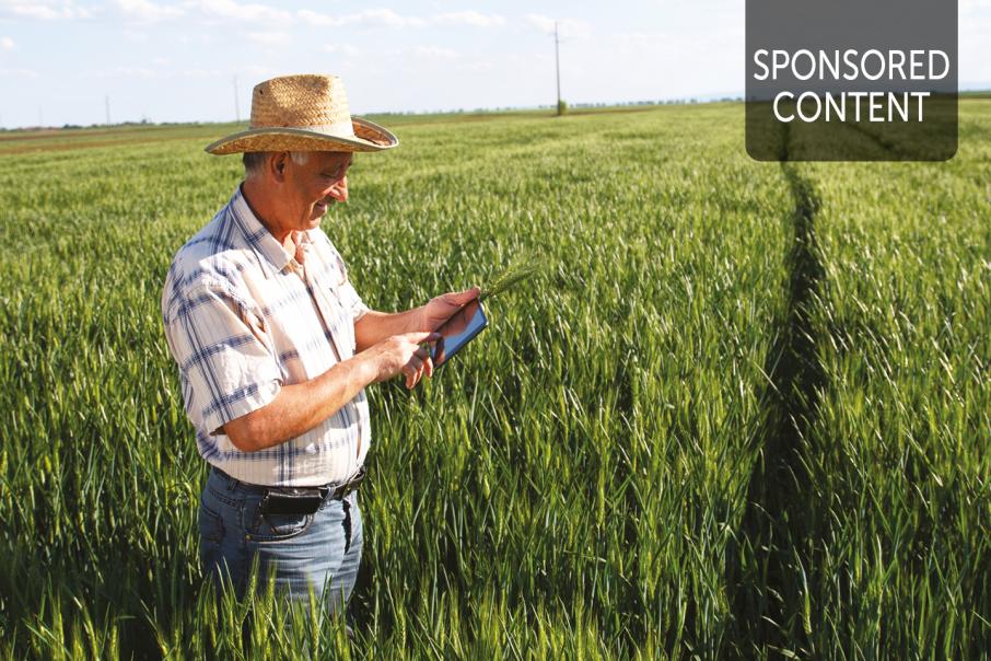Digital can offer Western Australia’s agrifood sector a competitive advantage