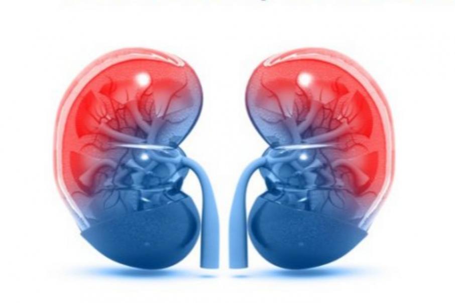 Major clinical study validates Proteomics kidney test