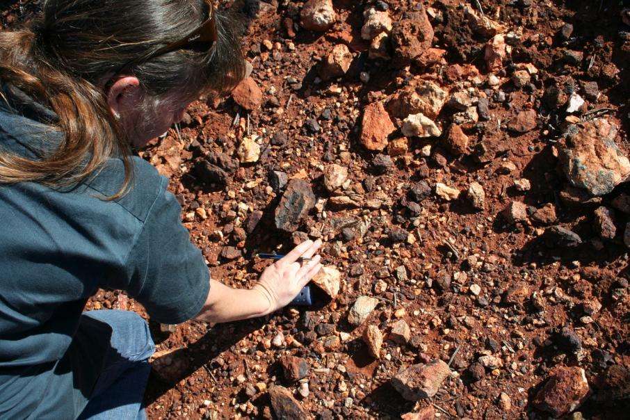 Dampier extends geochemical targeting in WA Goldfields