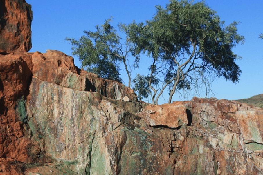 Middle Island expands holding over NT copper-gold play