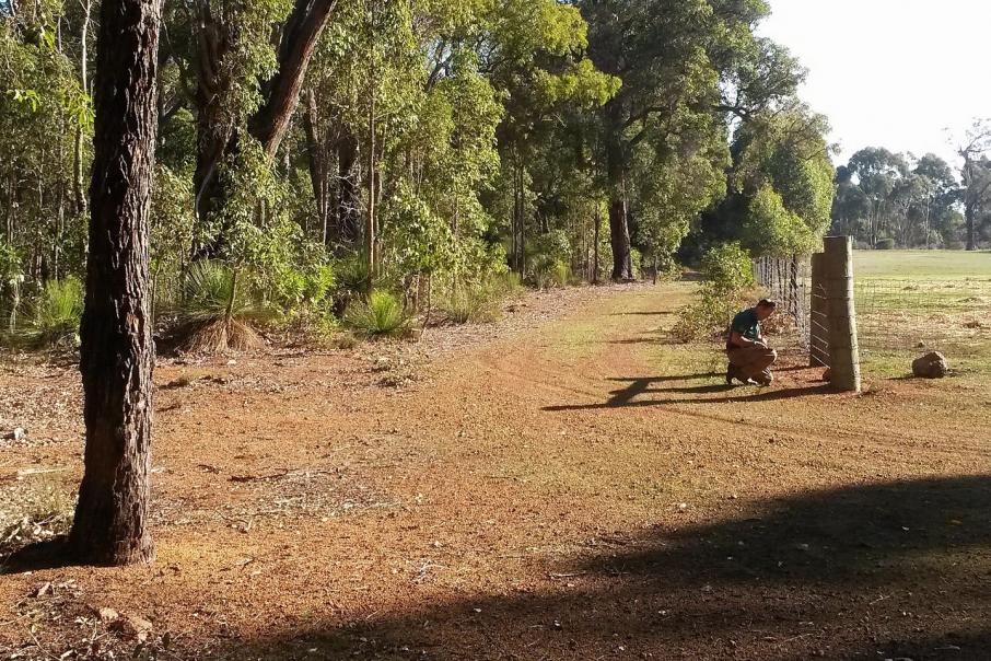 Emu stalks Sunfire nickel-PGE targets