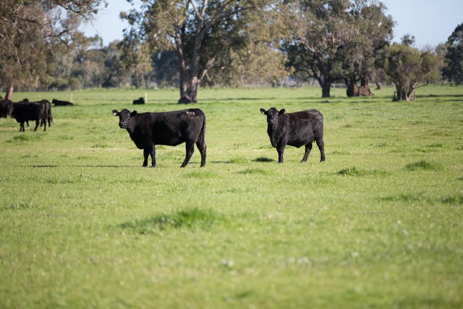 Livestock opponents put farmers’ stake at risk