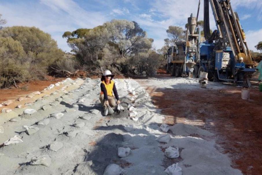 Drilling provides broader leads for Estrella at WA nickel find