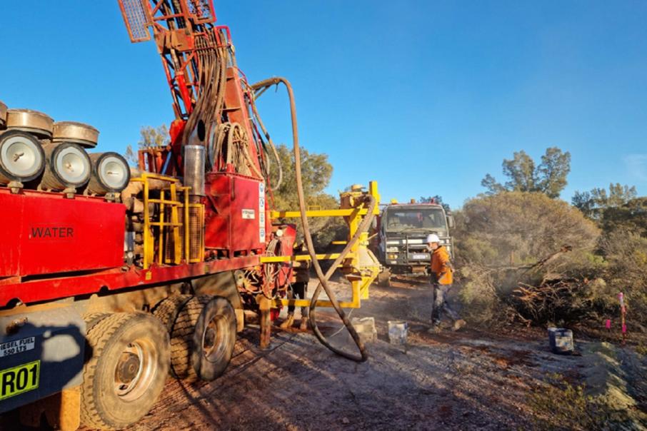 Venus cranks up the drill bit in WA gold search