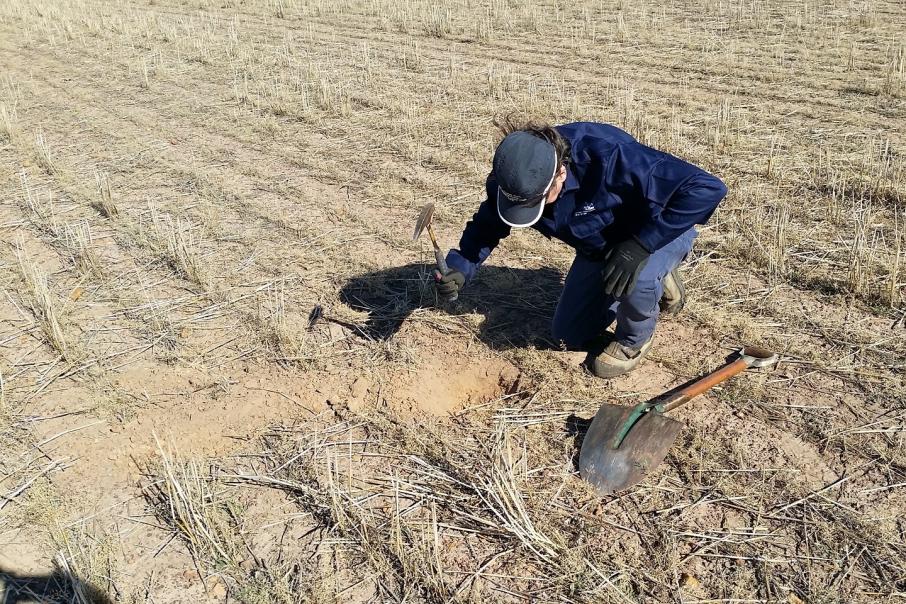 Impact on the trail of multi-metals in south-west WA province