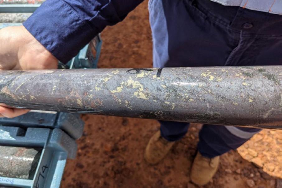 Coda swells South Australian copper sulphide discovery