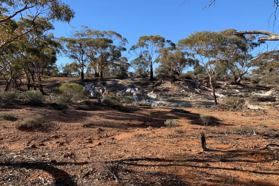 KalGold lines up drill targets in under-explored WA tenure