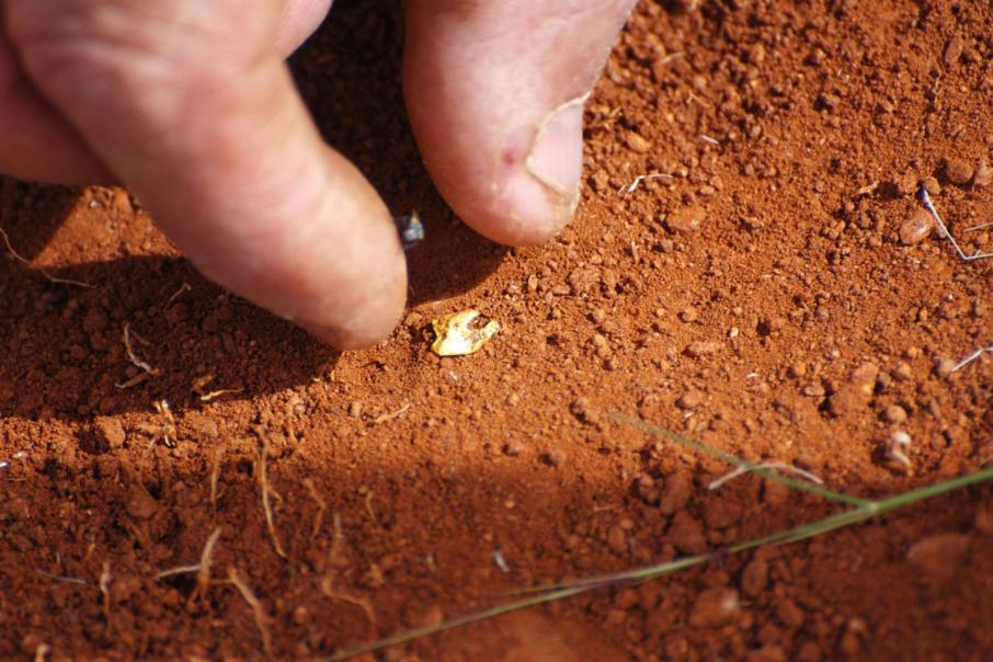 DiscovEx sniffs more gold in WA dirt