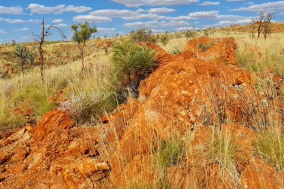 Tambourah expands lithium territory in Pilbara