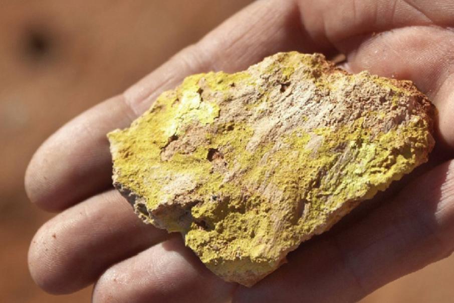 Toro tables robust standalone WA uranium project