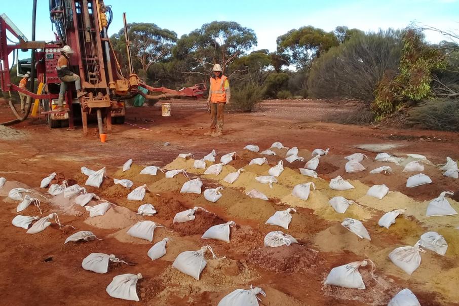 Horizon Minerals notches up more WA nickel hits