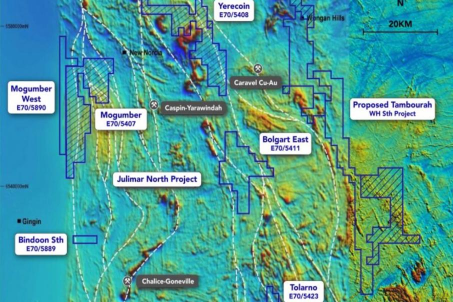 Tambourah magnetic survey highlights conductive targets
