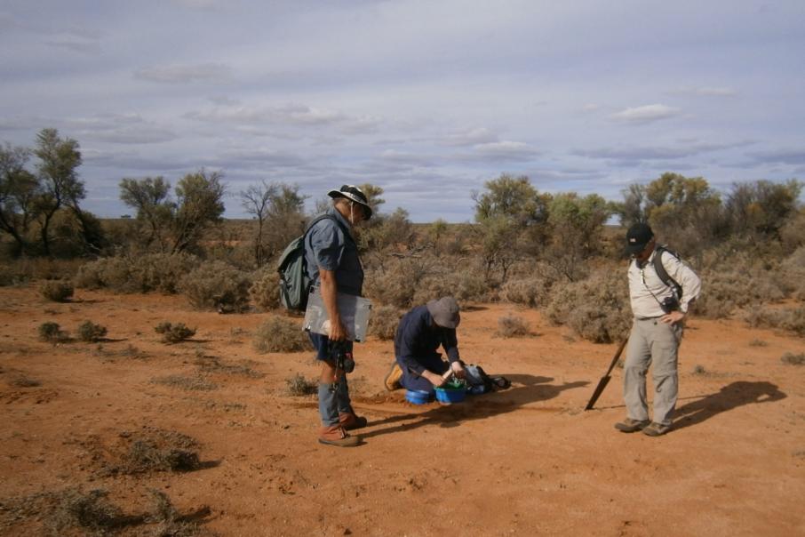 Askari embarks on lithium-focused surface sampling