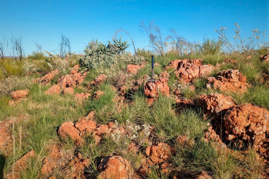 Calidus JV uncovers lithium with maiden Pilbara campaign