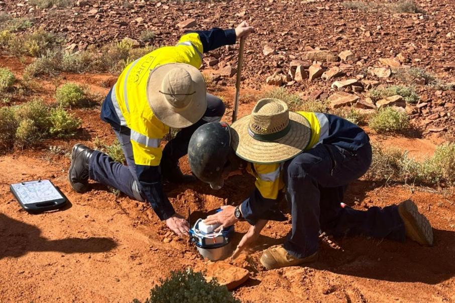 Early survey results buoy Coda at SA copper project