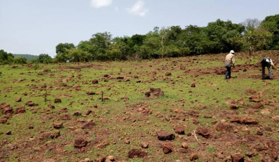 Lindian nails 1000m rare earths drill hit at Kangankunde