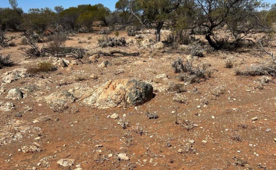Estrella on trail of pegmatite paradise in Goldfields