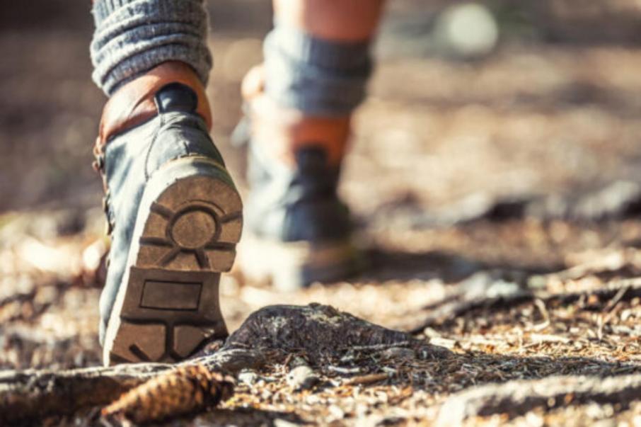 Reach lands boots on ground for WA niobium hunt