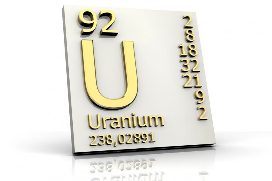 Javelin to target Goldfields uranium anomaly 