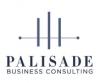 Palisade Business Consulting