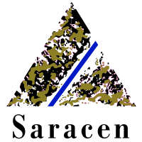 Saracen Mineral Holdings