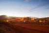 Fortescue contracts Pacific Energy