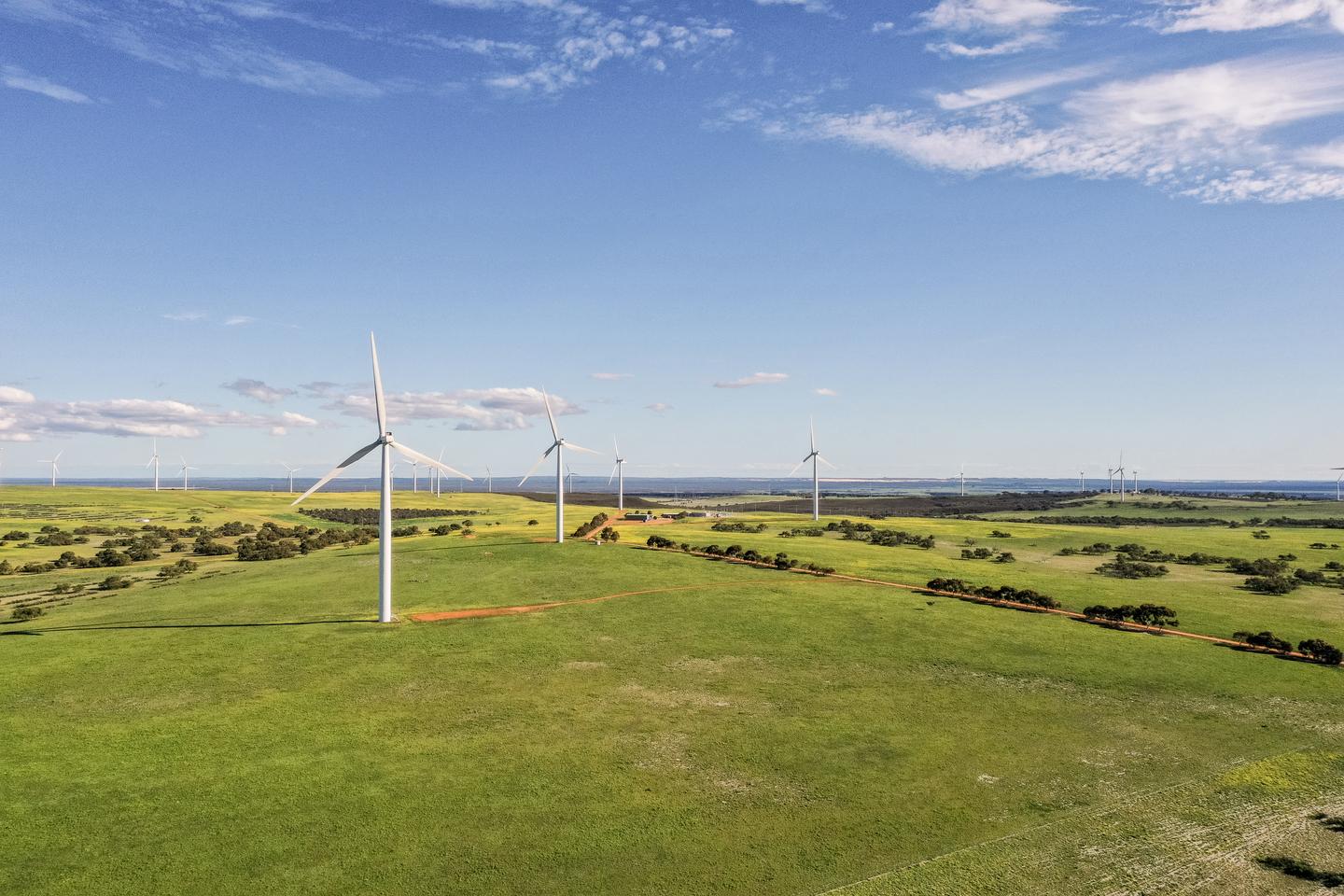 Wind farm slugged $1m over blackout issues