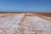 Billionaire Smorgon family backs Pilbara salt project