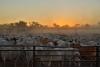 Heytesbury's cattle business drives bumper profit