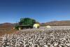 $48m in funding for Kimberley cotton