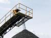 Government responds to Greens’ push for end of coal