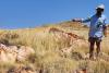 GreenTech on trail of Pilbara pegmatite patch