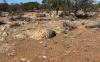 Estrella on trail of pegmatite paradise in Goldfields