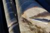 Aurumin locks in new ground to grow Sandstone footprint