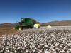 ACCC concerns over Olam Agri cotton takeover