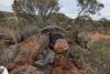 Aurumin gets help to define iron ore potential at Sandstone