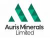 Auris Minerals