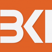 BKI Investment Company