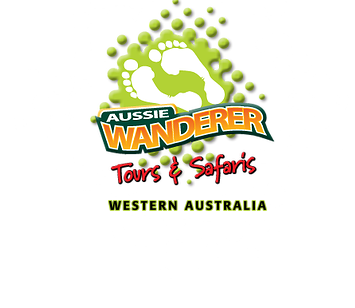 Aussie Wanderer