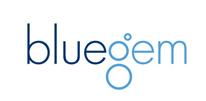 Bluegem Software Solutions