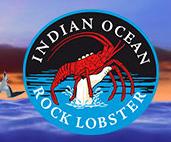 Indian Ocean Rock Lobster