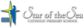 Star Of The Sea Primary School