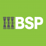 BSP Financial Group